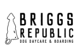 Briggs Republic 3